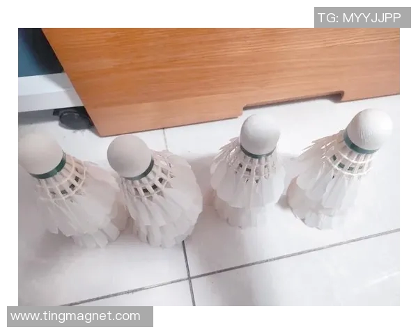 羽毛球新手必看：轻松掌握节奏与技巧的入门指南